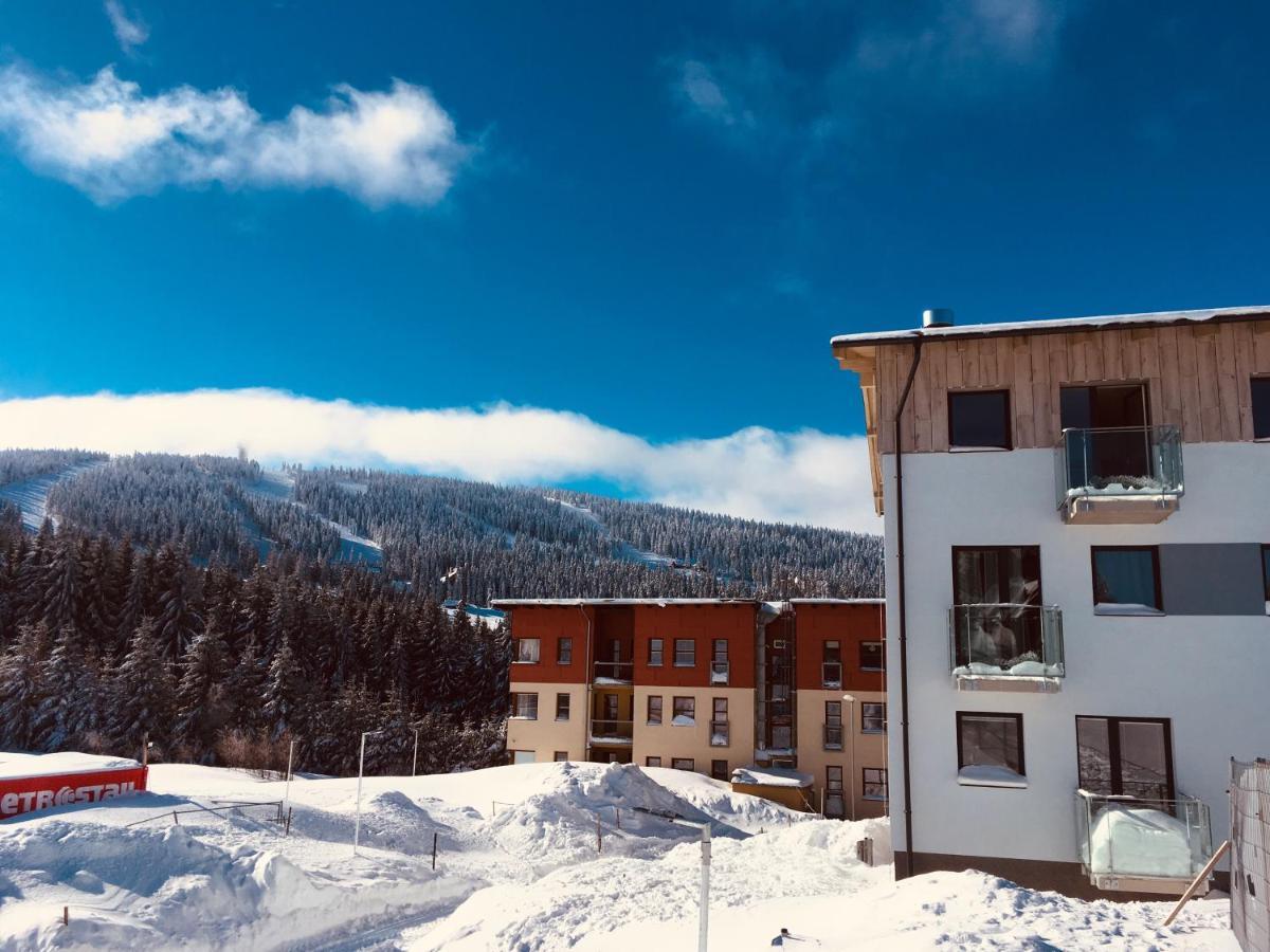 Apartman Alfa Klinovec Loučná pod Klínovcem エクステリア 写真